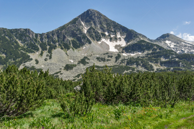 山,地形,非凡的,班斯科,皮林山脉,水,休闲活动,水平画幅,无人,夏天