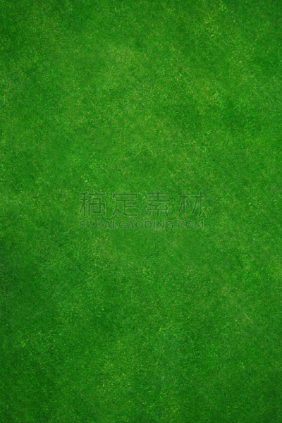 草,绿色,背景,高尔夫球场,割草机,垂直画幅,草原,高视角,纹理效果,枝繁叶茂