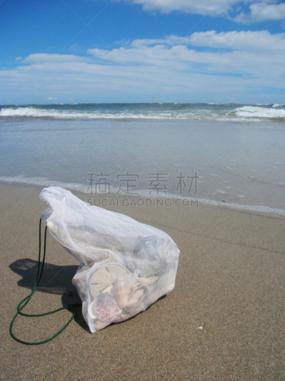 海滩,贝壳,垂直画幅,天空,留白,无人,大西洋,夏天,云景,特写