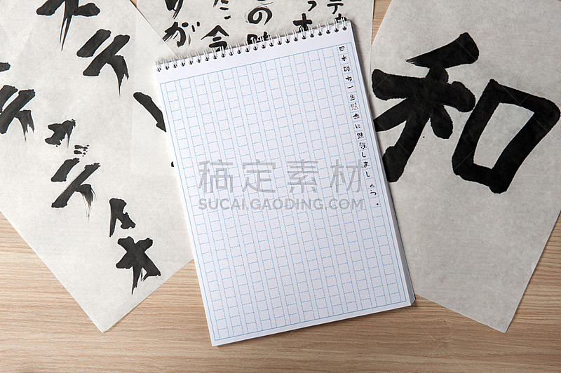 笔记本,书法,水平画幅,墨水,画笔,特写,单词,成年的,日语,女人