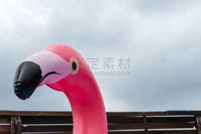 夏天,火烈鸟,水,天空,美,留白,水平画幅,无人,社区菜园
