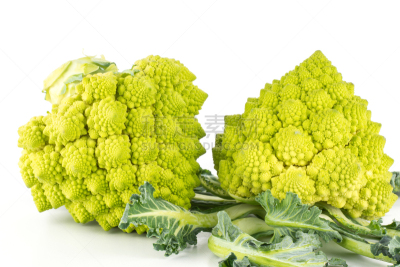 清新,白色,罗马花椰菜,绿色,分离着色,蔬菜,螺线,一个物体,背景分离,食品