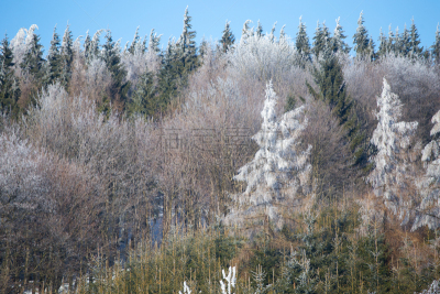 冻结的,森林,多尔诺斯拉斯基州,水,天空,水平画幅,山,雪,无人,户外