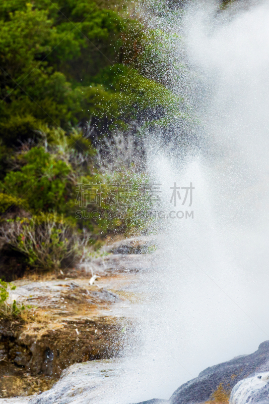 罗托鲁阿,垂直画幅,新西兰,选择对焦,波胡图间歇泉,电报机,环境,间歇泉,湖,背景