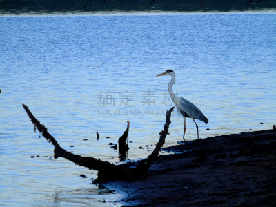 海伦岛,雕塑,水平画幅,无人,摄影,钦佩
