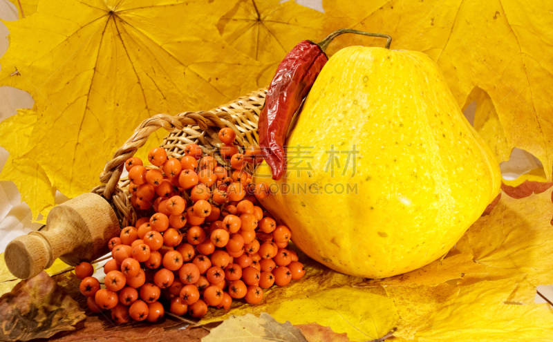 瓶子,叶子,山梨树,椒类食物,秋天,水平画幅,无人,南瓜,生食,组物体