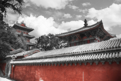 修道院,少林,中国华中地区,佛教,水平画幅,建筑,传统,古老的,旅行者,中国