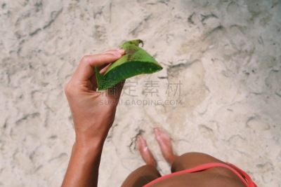 海滩,拿着,芦荟,青年女人,沙子,叶子,选择对焦,水平画幅,夏天,特写