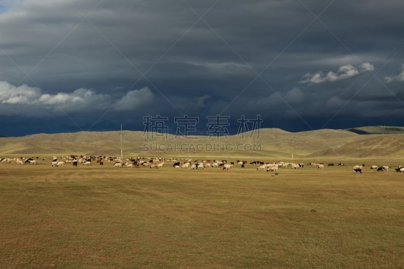 东欧大草原,鄂尔浑河谷,天空,暴风雨,柳树,水平画幅,山,无人,户外,云景