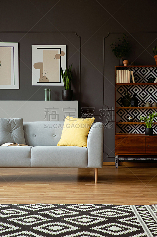 沙发,地毯,式样,灰色,室内,黄色,起居室,枕头,摄影