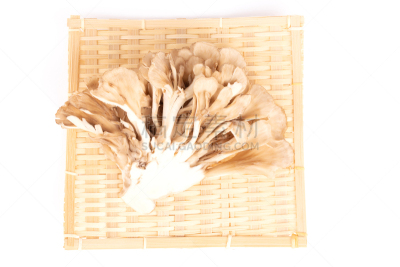 日本,蘑菇,白色,蔬菜,篮子,清新,自然界的状态,背景分离,日本食品,食品