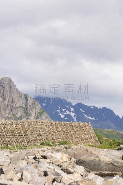 鳕鱼干,支架,罗弗敦,垂直画幅,躯干,天空,气候,云,准备食物,户外