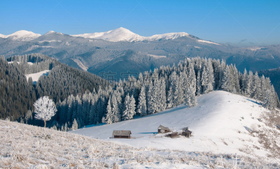 冬天,山,雪,雾凇,杉树,自然,留白,草地,水平画幅