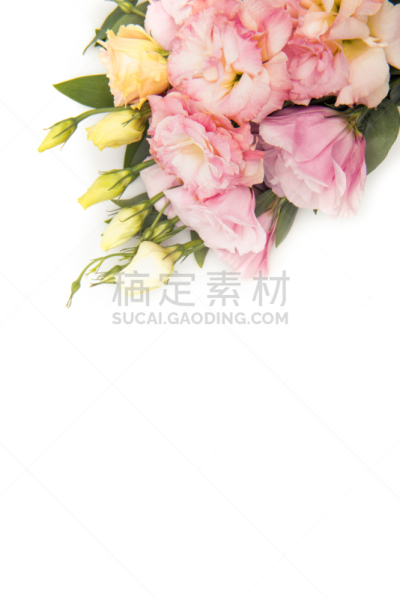 花蕾,深情的,自然美,风景,分离着色,白色,翠湖,模仿动物,垂直画幅,美