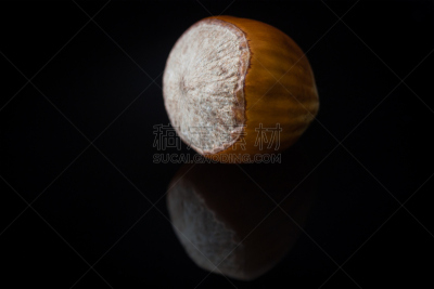 榛子,褐色,水平画幅,水果,甜玉米,榛子树,发现号,特写,坚果,螺母