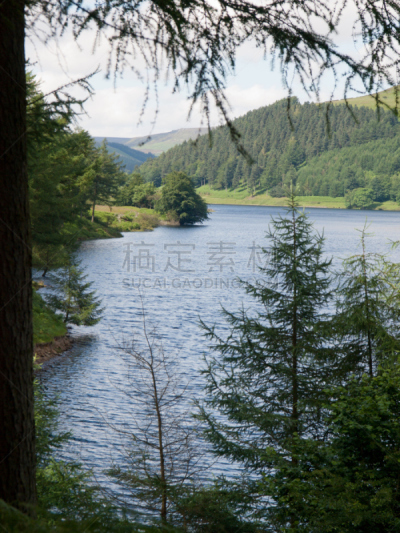 德文特水库,德比,自然,垂直画幅,水,无人,英格兰,夏天,水库,户外