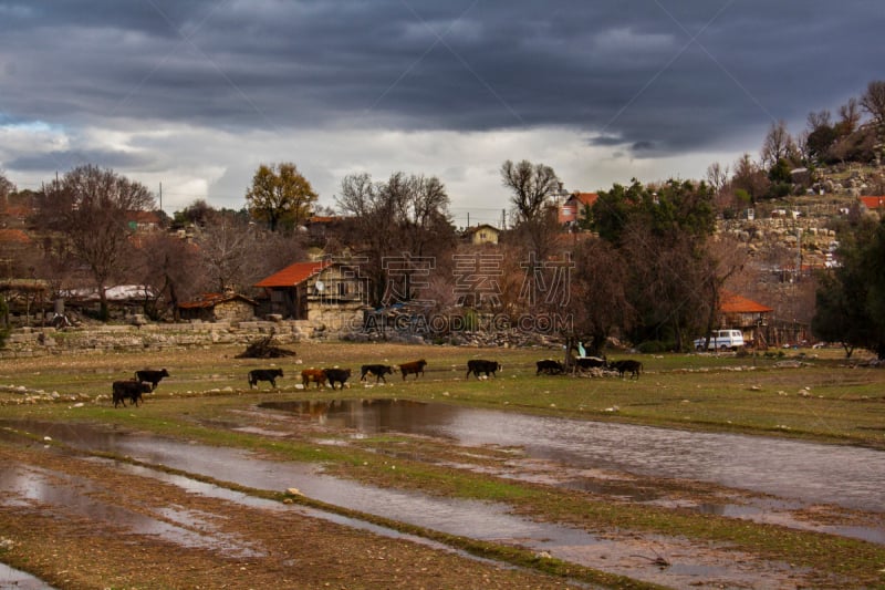 Village