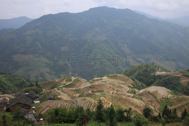 龙胜,龙脊梯田,梯田,稻,水平画幅,山,无人,户外,房屋,水稻梯田