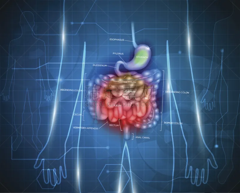 肠道 抽象 背景聚焦 结肠炎 结肠 阑尾 溃疡 图表 炎症 便秘图片素材下载 稿定素材