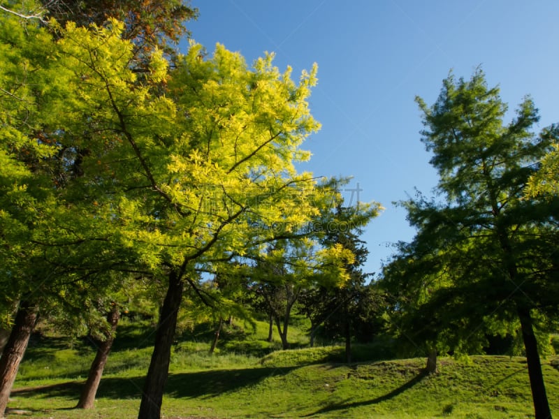 里约热内卢,水,天空,公园,少量人群,水平画幅,海港,旅行者,户外,滨水