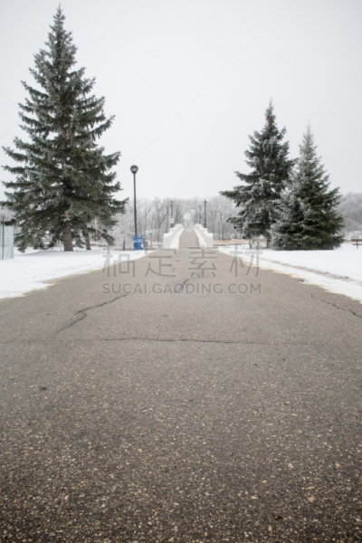 霜,桥,寒冷,环境,从容态度,雪,天气,加拿大,温尼伯,小路