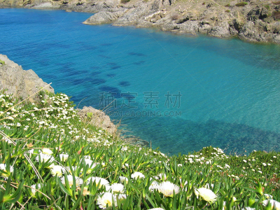 风景,海湾,水,水平画幅,无人,港口的热带雨林,夏天,海岸地形,阿特恩博达,植物