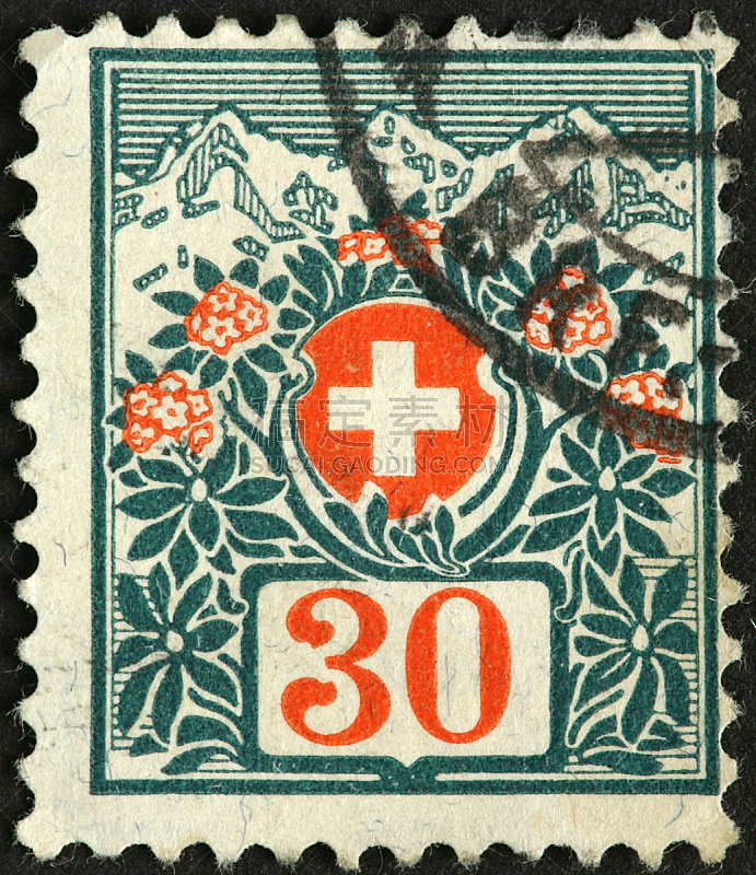 火绒草,瑞士,过时的,阿尔卑斯山脉,自然,垂直画幅,无人,野生植物,野花