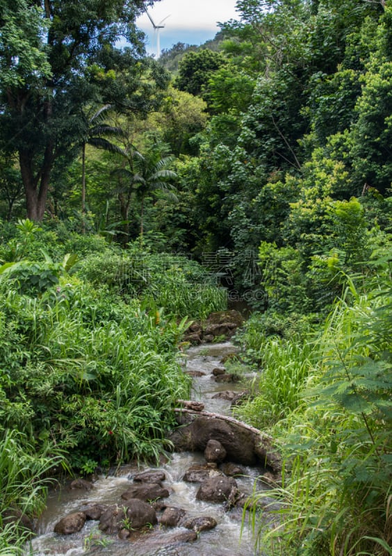 河流,威美亚峡谷州立公园,威美亚瀑布,太平洋岛屿,热带气候,枝繁叶茂,自然美,外米亚海湾,风轮机,户外