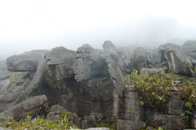 罗赖马山,自然,高原,悬崖,桌子,水平画幅,地形,无人,生态旅游,萨凡纳港市