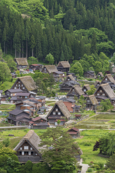 日本,地形,合掌屋,五箇山,茅屋屋顶,垂直画幅,美,无人,传统,东亚
