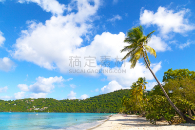 鹈鹕,棕榈树,海滩,波浪,风景,马更斯湾,圣汤姆斯,水,天空,水平画幅