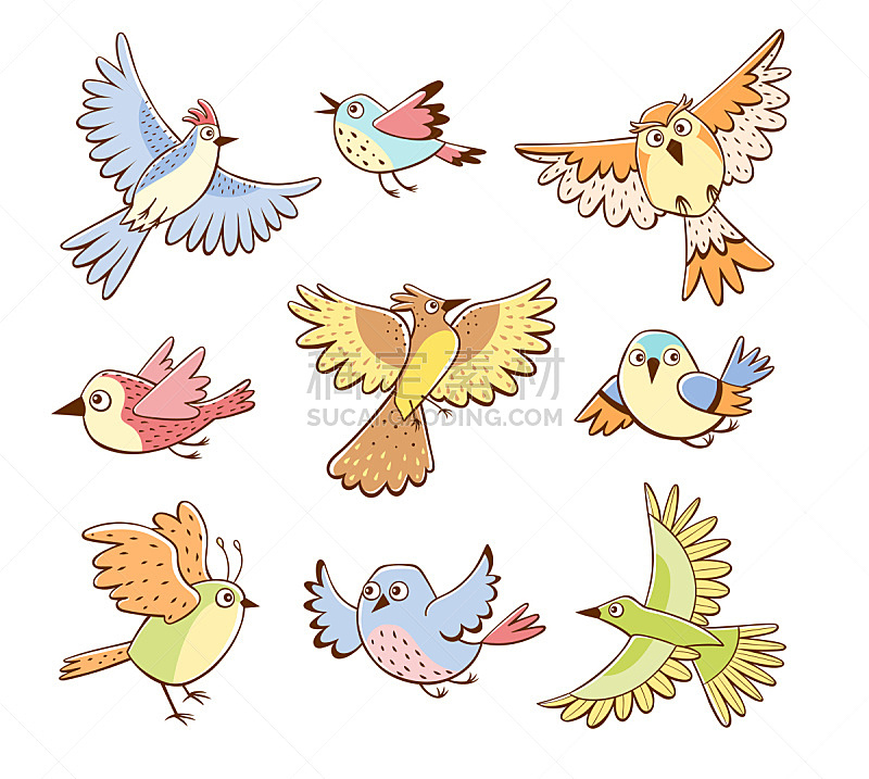 鸟类,动物手,可爱的,背景分离,美术工艺,翅膀,小的,动物,春天,背景