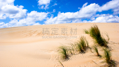北卡罗来纳,外海岸,草,沙漠,沙丘,芦苇,绿色,barrier islands,云,乔基山脉州立公园