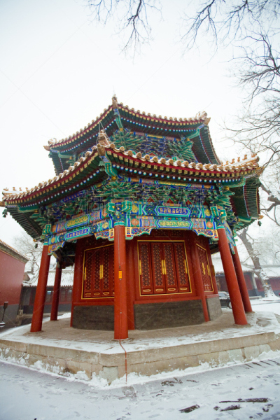 北京,雍和宫,雍和宫店,垂直画幅,建筑,雪,无人,宫殿,户外,红色