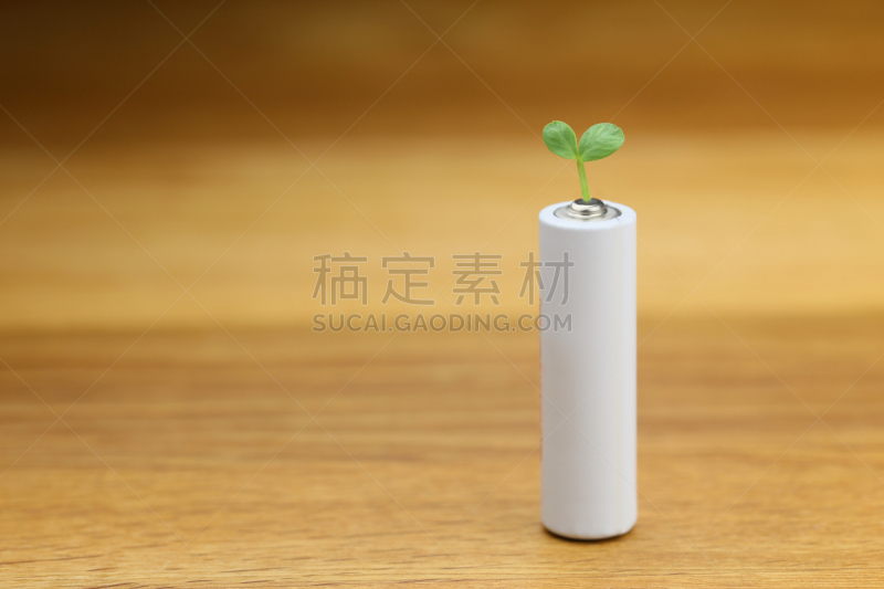 电池,双叶区,留白,白色,水平画幅,无人,特写,摄影