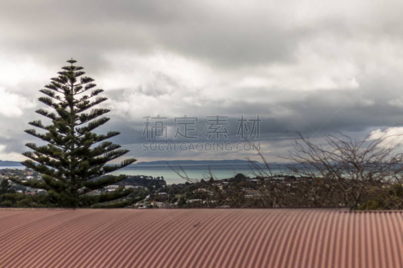 新西兰,褐色,海湾,海岸线,奥克兰,植物,夏天,户外,天空,建筑