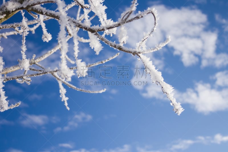 冰,冬天,枝,陆地,非凡的,自然,禅宗,冬季服务,水平画幅,雪铲