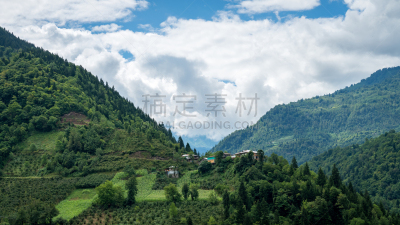 土耳其,自然,绿色,地形,森林,自然美,阿尔特温,国内著名景点,环境,土耳其黑海沿岸