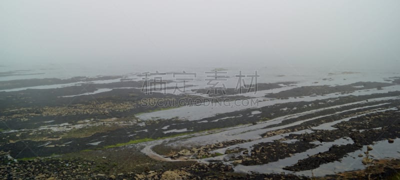 圣安德鲁斯大教堂,海岸线,建筑结构,全景,图像,英国,著名景点,无人,废墟,大教堂