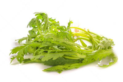 菊花,叶子,食品,白色,分离着色,炖锅,水平画幅,素食,水果,特写