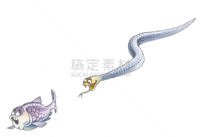 海蛇,自然,水,野生动物,水平画幅,惊骇,蛇,有毒生物体,水下,野外动物