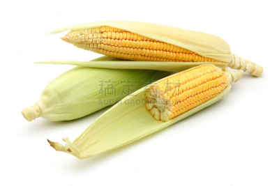 清新,玉米,白色背景,农业,湿,蔬菜,横截面,部分,背景分离,食品