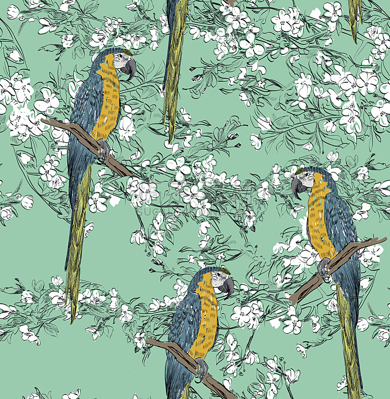 四方连续纹样,鹦鹉,热带气候,樱桃,动物,鸟类,春天,3到4个月,铅笔画,金刚鹦鹉