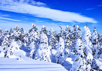 霜,天空,留白,山之内町,里山,水平画幅,雪,长野县,无人,纯净