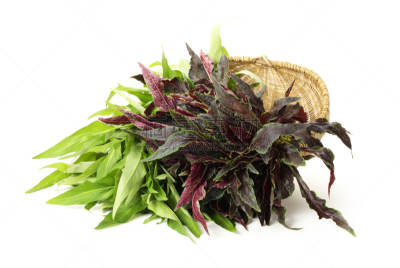 苋属植物,白色背景,选择对焦,水平画幅,无人,夏天,户外,篮子,特写,植物