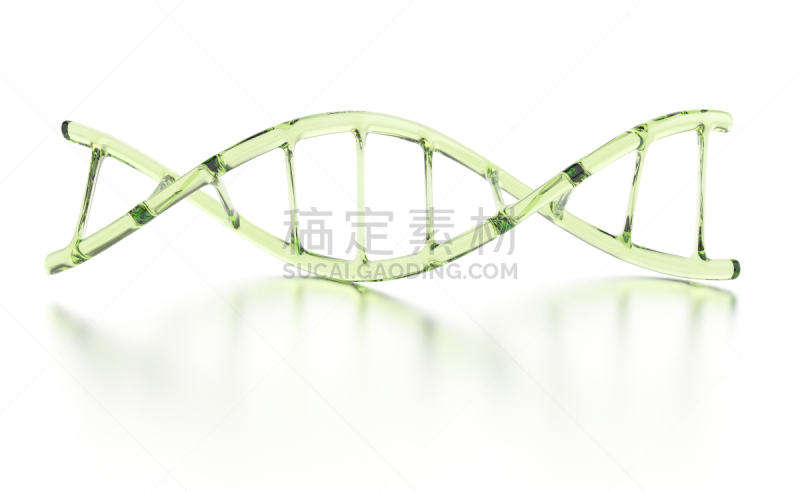 绿色,透明,脱氧核糖核酸,生物科技,水平画幅,形状,无人,科学,生物学,生物化学