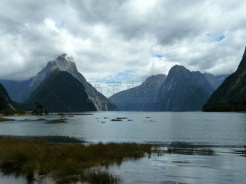 米尔弗德,自然,水,水平画幅,milford track,无人,夏天,户外,野生植物,湖