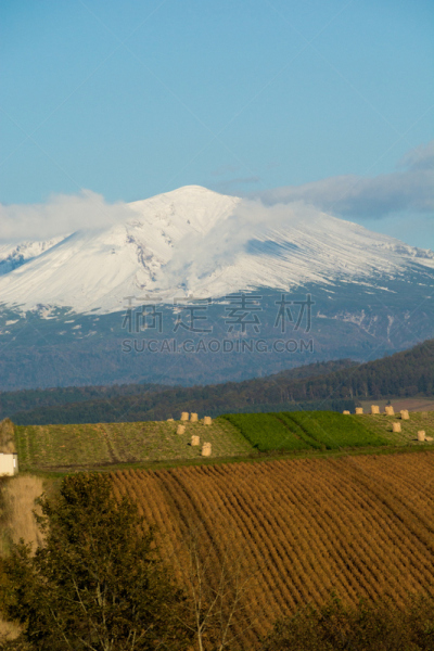 雪,有包装的,垂直画幅,留白,秋天,旭川,旭岳火山,户外,北海道,烟