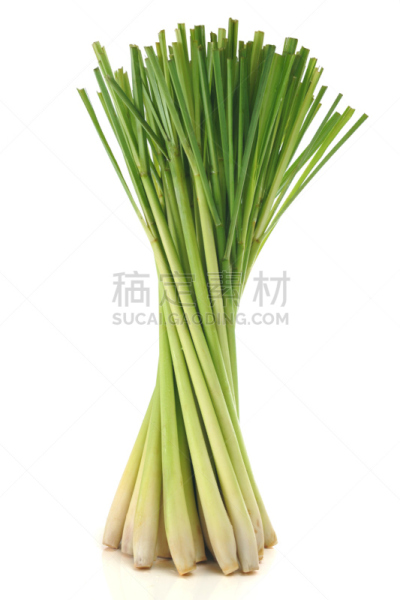 柠檬草,绿色,垂直画幅,无人,生食,泰国,植物,清新,调料,份量