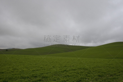 草,恩纳省,自然,天空,非都市风光,水平画幅,绿色,无人,草坪,户外